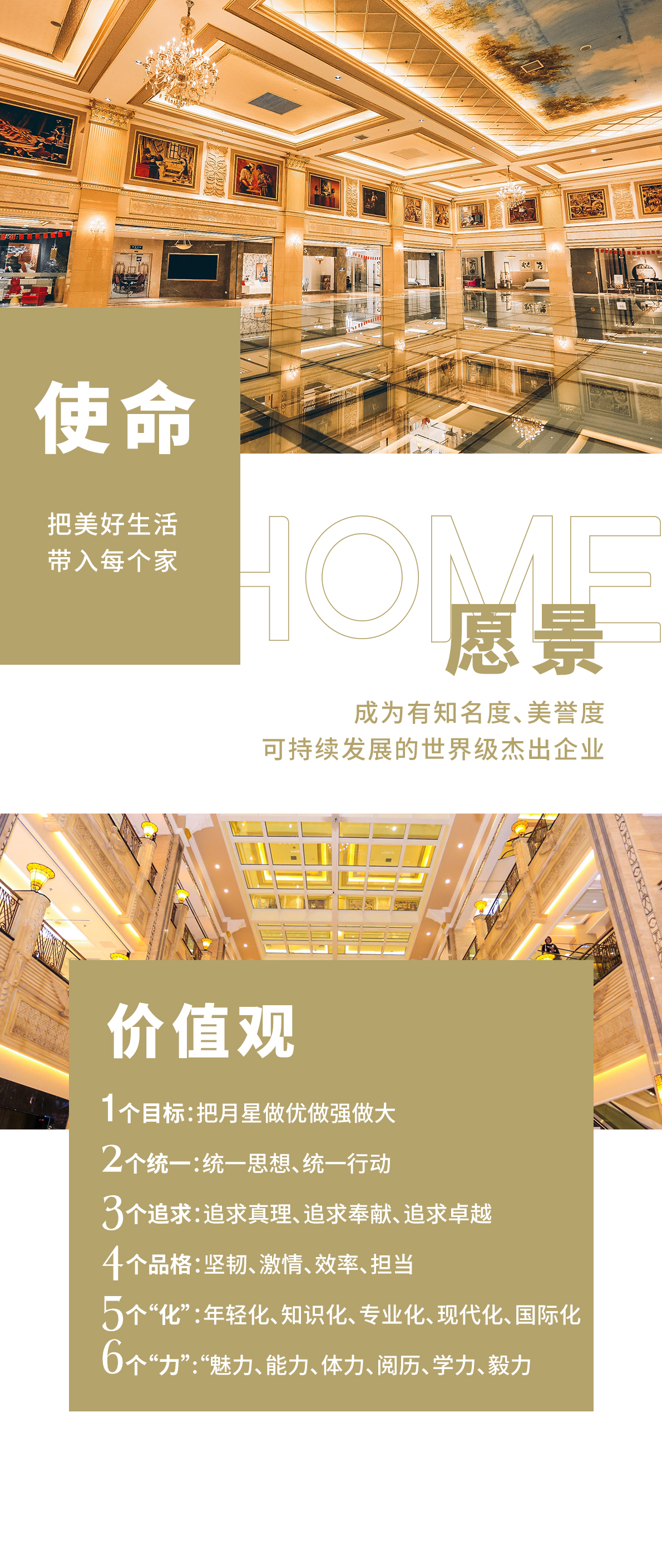 月星文化-内容.jpg